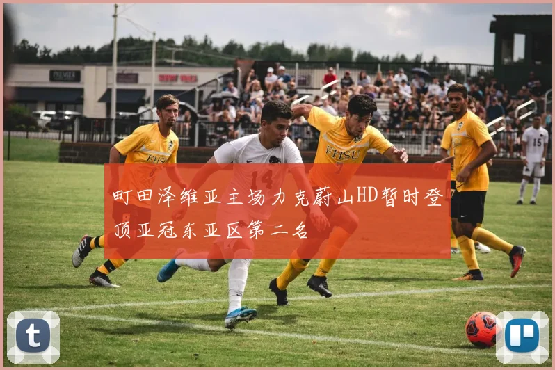町田泽维亚主场力克蔚山HD暂时登顶亚冠东亚区第二名