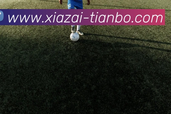 App Interface Preview