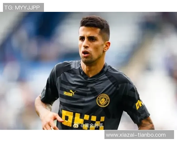 国米引进坎塞洛是因邓弗里斯伤病风险而非对恩里克失去信心